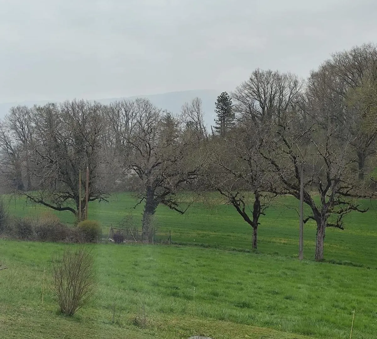 Holiday home L'Azalee - Vu Splendide Sur La Nature Peyrieu